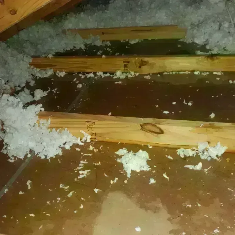 Attic Water Damage in Angwin, CA